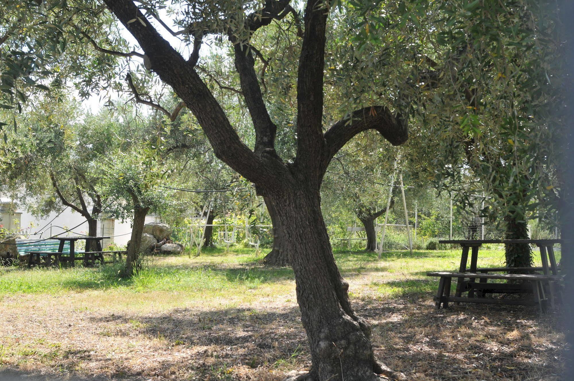 Il Borgo Degli Ulivi Aparthotel 3*