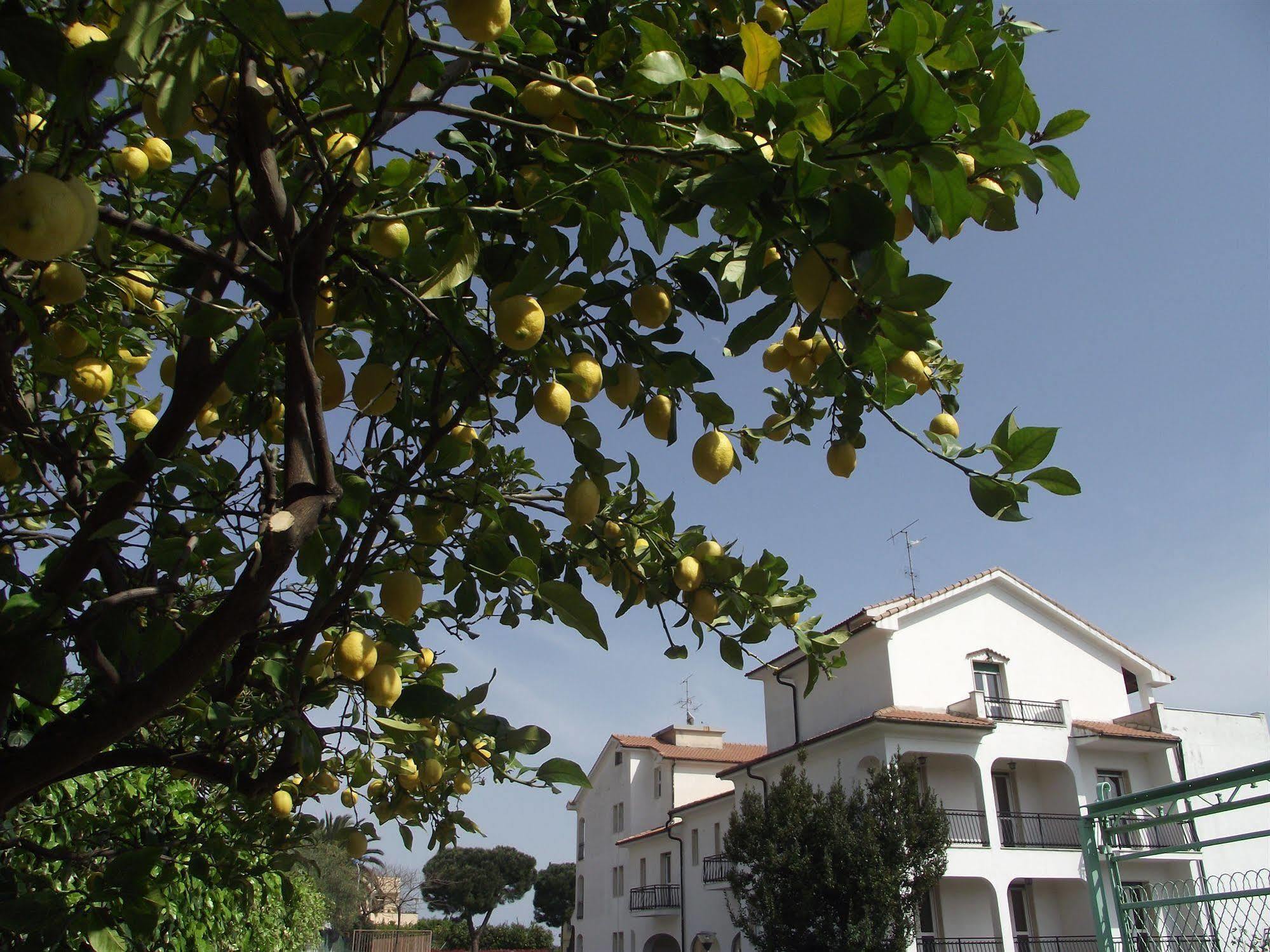 Il Borgo Degli Ulivi Aparthotel 3*